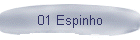 01 Espinho