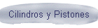 Cilindros y Pistones