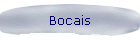 Bocais